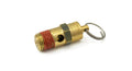 Hornblasters SV-235A 235 PSI Safety Blow-off Valve (for 200 PSI Systems) Hornblasters