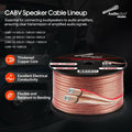 Audiopipe CABV-16-50CLR 50FT 16AWG Speaker Cable (CABV-16-50CLR) Audiopipe