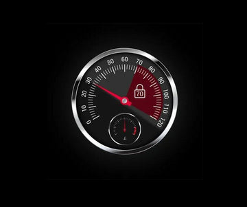 Rostra 250-9808-70 Speed Limiter GM Express 70MPH Rostra