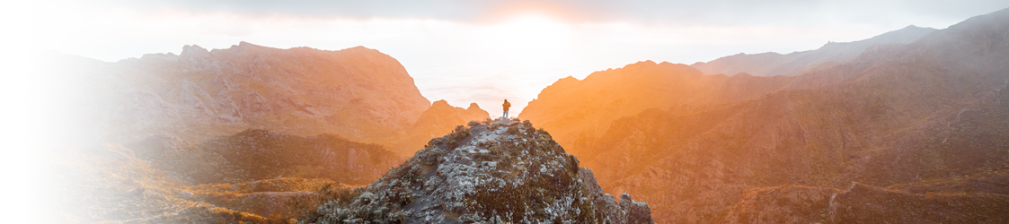 collection-banner-image